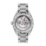 Omega Seamaster Aqua Terra 220.10.41.21.03.004