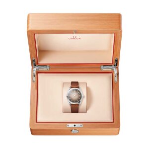 Omega Seamaster Railmaster 235.12.38.20.13.001